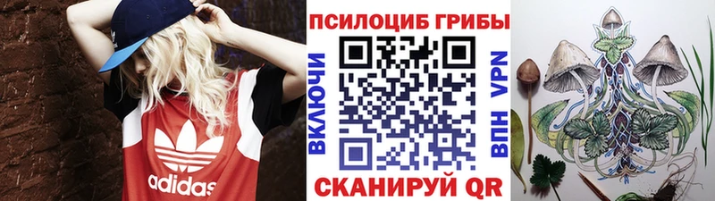 Купить  Лысково  Псилоцибиновые грибы MAGIC MUSHROOMS 